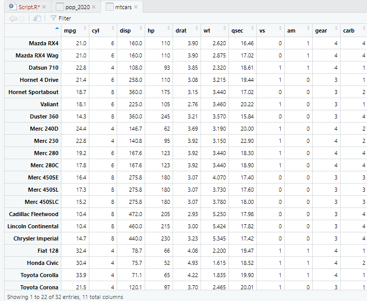 view data in RStudio environment